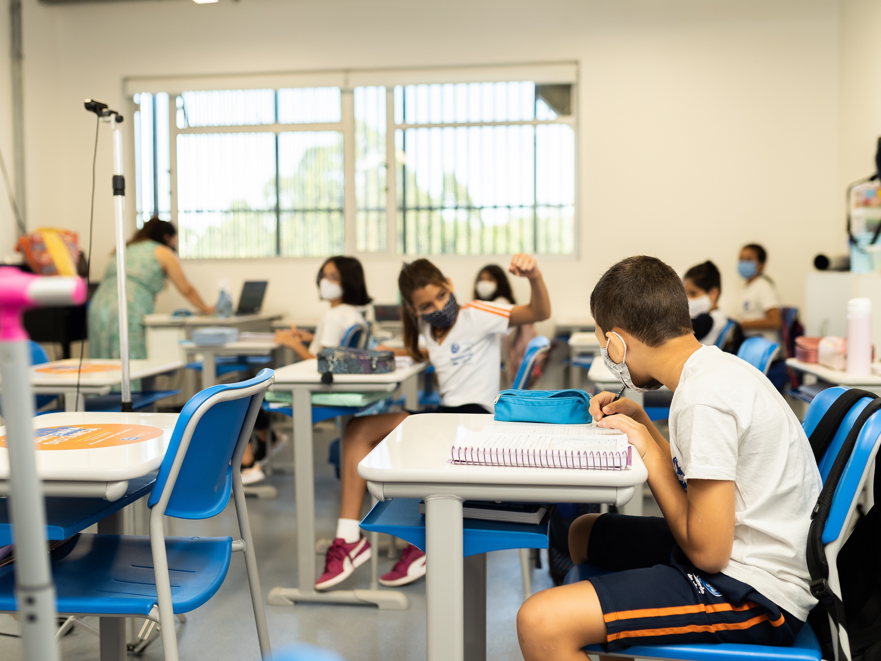 (BNCC) Ensino Fundamental anos finais: do 6º ao 9º ano